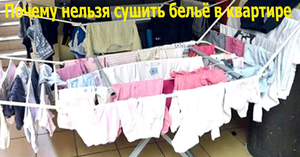 Сушить бельё лучше всего на улице - Звездец